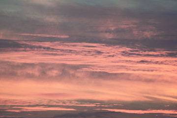 sunrise of pink tones
