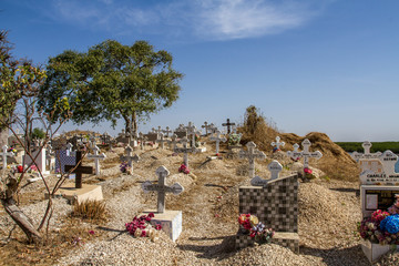 île aux coquillages