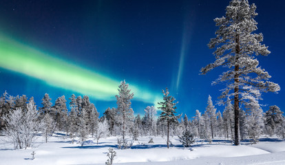 Aurora Borealis over winter wonderland scenery in Scandinavia