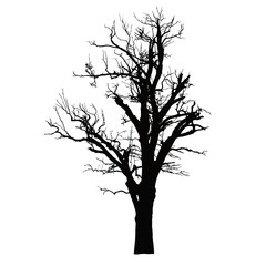 Realistic silhouette of a dead tree with dry branches