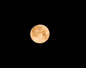 Obraz premium Orange super full moon shot on a cold winter morning.