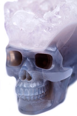 Blue lace agate druse carved crystal skull, isolated on white background