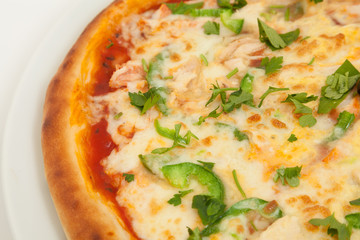 close up of delicious pizza