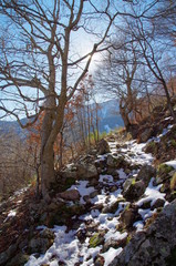 Seniter de montagne en hiver