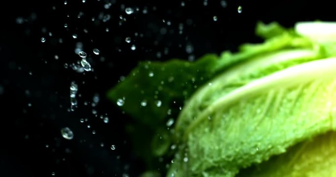 Lettuce green leaf salad slow motion water washing shot on Phantom Flex 4K