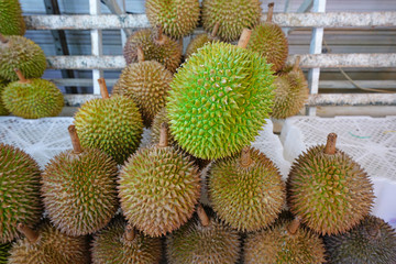 Pile of fresh green durian fruit at a street market in Singapore