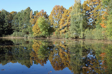 Lake and Forest in Autumn colors