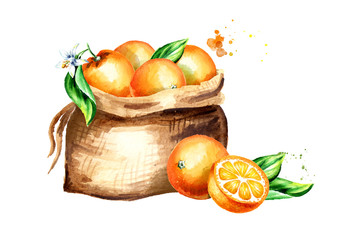 Sack of oranges.. Watercolor hand drawn illustration, isolated on white background