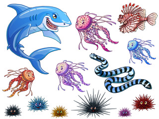 Obraz premium Sea serpent colorful on white