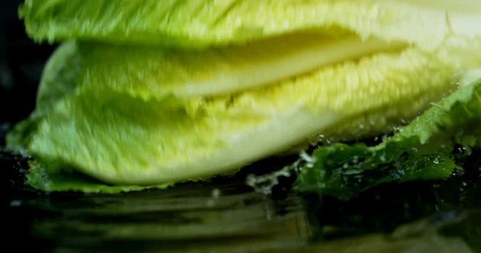 Lettuce green leaf salad slow motion water washing shot on Phantom Flex 4K