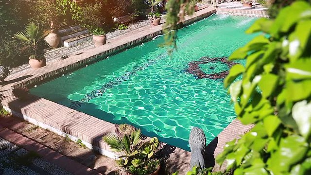 Amazing Luxury Swimming Pool. Beautiful Decorated Garden
