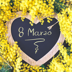 La mimosa è il fiore simbolo dell'8 marzo: giornata internazionale della donna, o festa della donna.