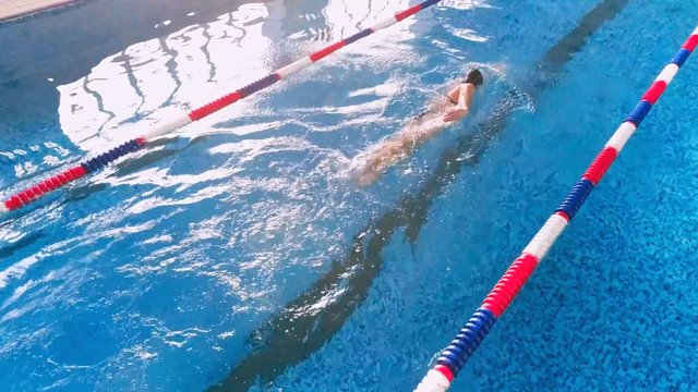 Athlete in the pool. Swimmer racing in water pool. Aerial.