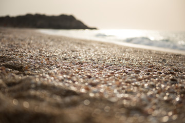 a lot of empty seashells on the shores of the Mediterranean Sea in the setting sun