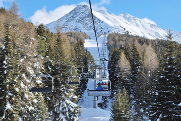 Chairlift trees