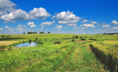 Sunny summer landscape.Green hills with growing trees.River Upa in Tula region, Russia.Countryside scene.