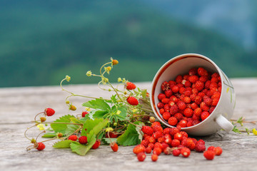 Wild forest strawberry on rustic wood table.
