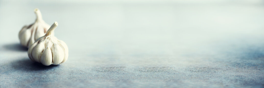 Garlic, rosemary, black pepper, salt on grey concrete background. Top view, copy space. Banner