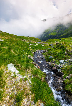 wild brook of Fagaras mountains. beautiful summer landscape with grassy slope and rocky cliffs. low clouds cover the top of mountain ridge