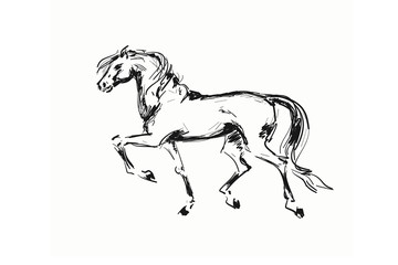 Drawn horse on a white background. Graceful galloping horse.  © maestrovideo