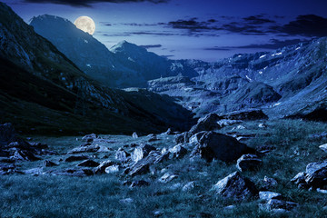lovely scenery of Transfagarasan road in valley at night in full moon light. rocks on grassy meadow and slopes. half of the valley in shade of mountain ridge