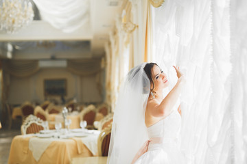 Fototapeta na wymiar Gorgeous happy luxury brunette bride near a window on the background of vintage room
