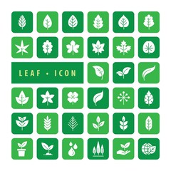 Leaf Icon Set Vector Illustration, icons modern design style