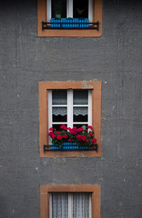 Romantic Image of a window with flowers. Small and cozy. Seen in a little german town.