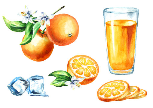 Orange juice set with glass, fruits and ice cubes. Watercolor hand drawn illustration, isolated on white background
