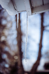 Winter Icicle