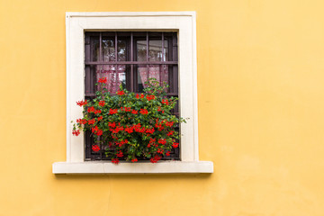 Fototapeta na wymiar A bright building with pretty flowers in the window. 