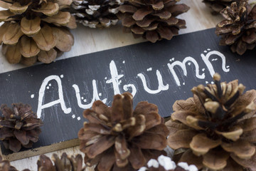 A nice autumn composition with pine cone.