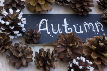 A nice autumn composition with pine cone.