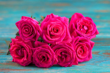 Pink roses on turquoise background