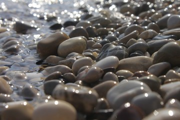 Obraz premium pebbles close up shimmering in the sun with a blurry background