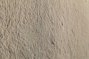 Bright plastered white colored house wall. loft  decor style