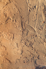 Rugh plaster white wall texture decor lof style