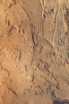 Rugh plaster white wall texture decor lof style