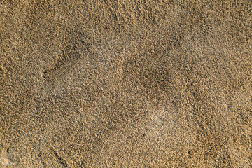 Texture of old house wall. Rough white cement sandstone