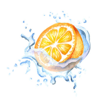 Fresh orange in splash isolated on white background. Watercolor hand drawn illustration