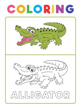 Funny Alligator Crocodile Animal Coloring Book with Example. Preschool worksheet for practicing fine colors recognition skill. Vector Cartoon Illustration for Children.