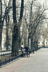 Autumn park with empty benches.