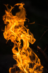  Flame in the dark. Firewood