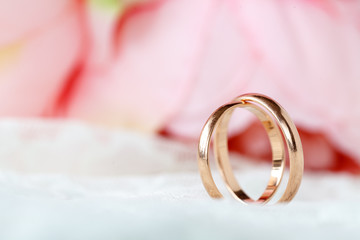 Obraz na płótnie Canvas Close up view of pair golden wedding rings