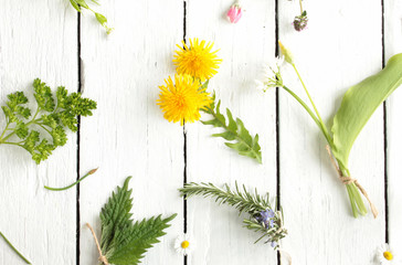 essbare Blüten Blätter Kräuter Wildkräuter Wild Tisch Brett  © eflstudioart