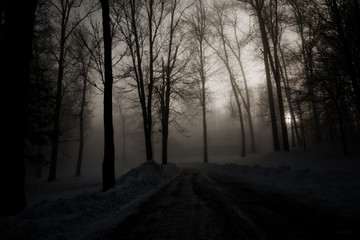 Fototapeta na wymiar dark road, fog, mist, 