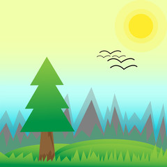 Spring landscape of pine forest and green meadow with hills on sunny morning. Birds arrive to home. Scenery nature flat vector illustration style