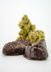 Cannabis Edible Chocolate Gummies