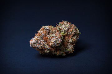 Cannabis Nug - Strain: Blue Widow