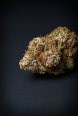 Cannabis Nug - Strain: Blue Widow